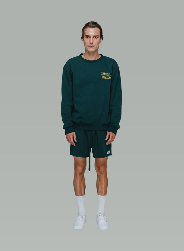 PUSHFORWARD PULLOVER GREEN
